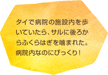 タイで病院の施設内を歩いていたら、サルに後ろからふくらはぎを噛まれた。病院内なのにびっくり！