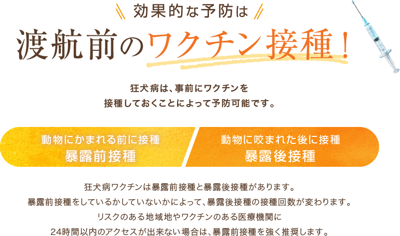 効果的な予防は渡航前のワクチン接種！