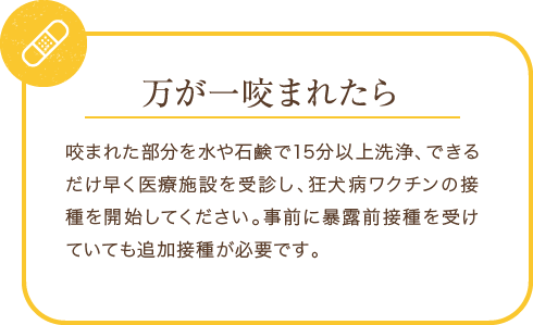 万が一咬まれたら